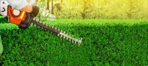 Benzinbetriebene Gartenschere, Beschneiden von Sträuchern und Hecken. Arbeiten im Garten.
