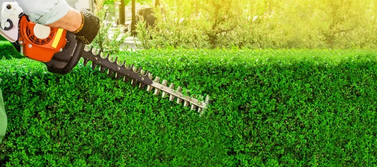 Benzinbetriebene Gartenschere, Beschneiden von Sträuchern und Hecken. Arbeiten im Garten.